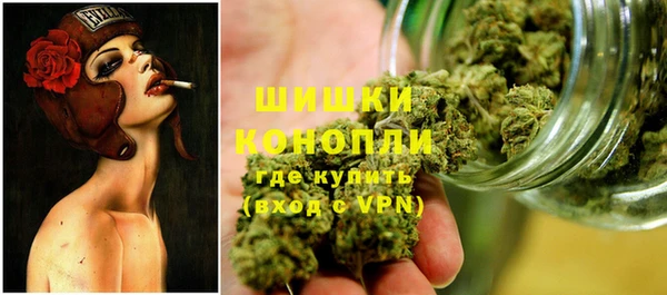 кокс Белокуриха