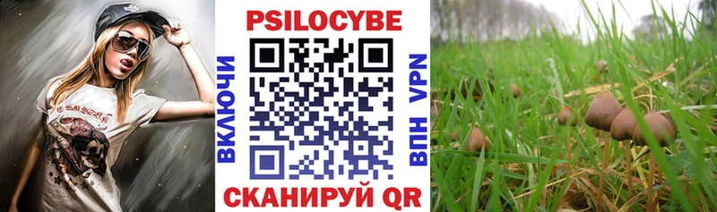 omg рабочий сайт  Высоковск  Псилоцибиновые грибы MAGIC MUSHROOMS 